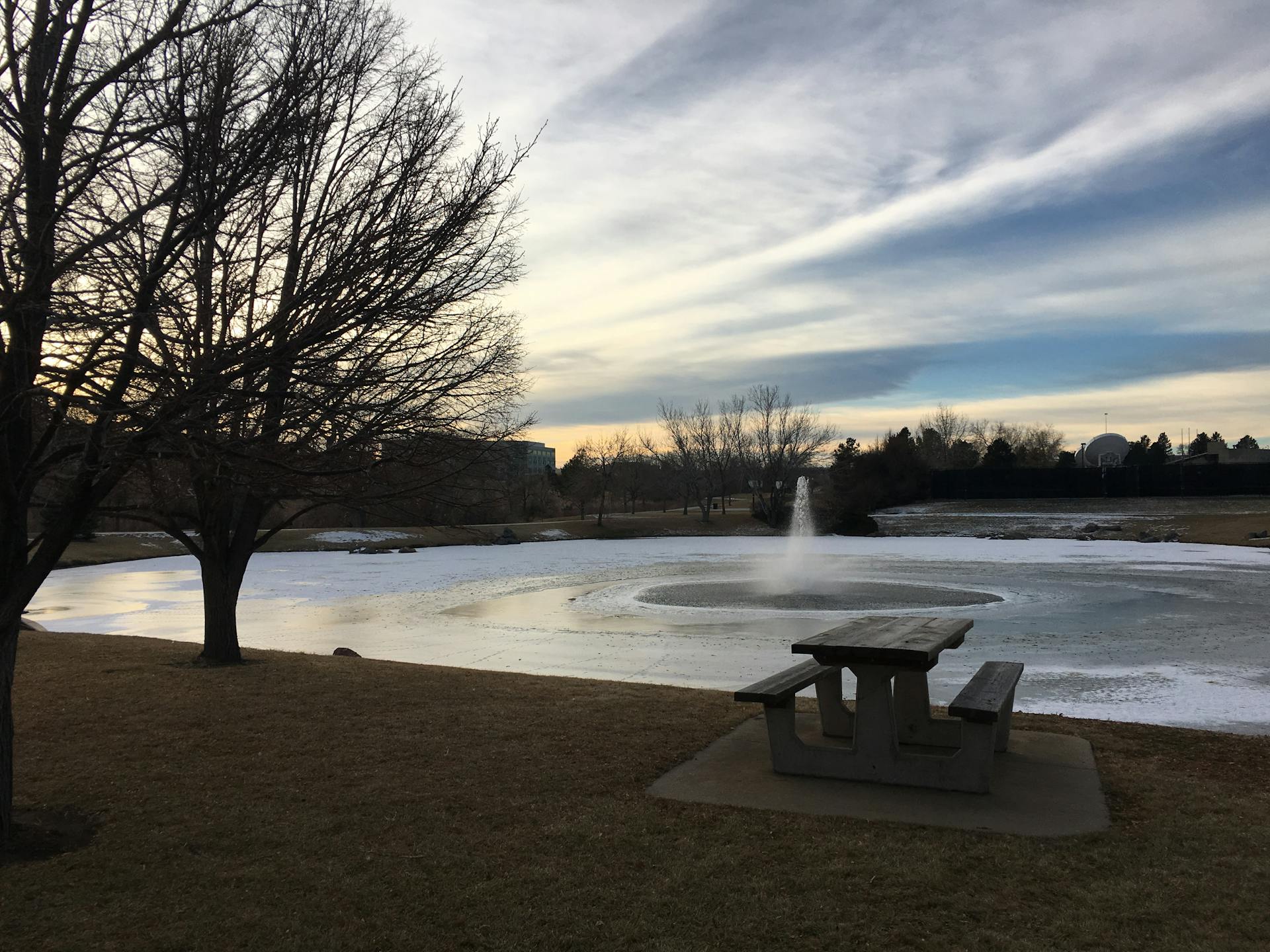 Frozen Pond at the park near my hotel in Denver